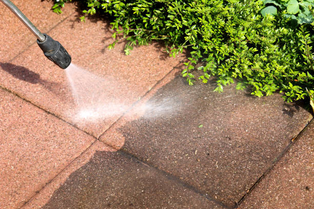 Best Affordable Power Washing  in Cana, VA